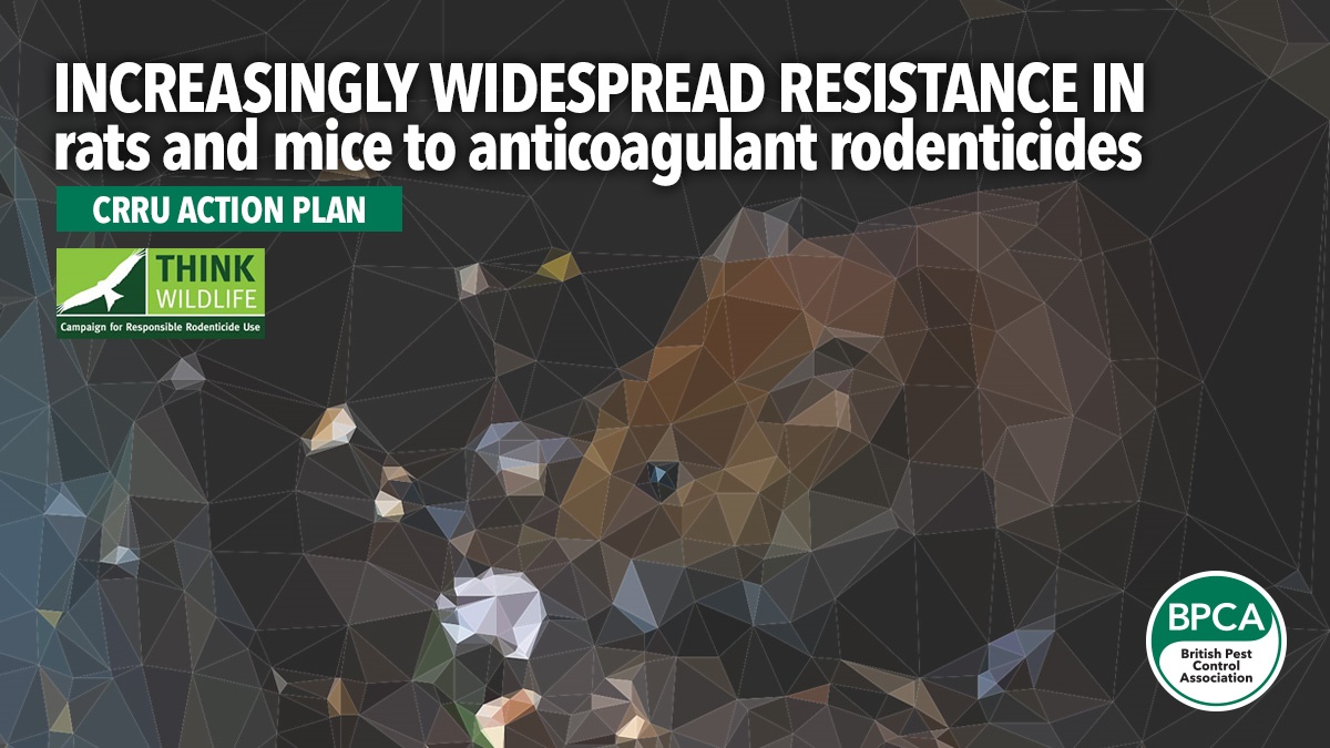 Increasingly widespread resistance in rats and mice to anticoagulant rodenticides Increasingly widespread resistance in rats and mice to anticoagulant rodenticides